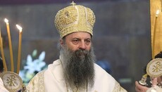 Патриарх Порфирий: Сербская Церковь поможет УПЦ и Митрополиту Онуфрию