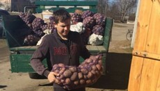 Из Крымненского благочиния отправили фуру с продуктами для Донецкой области