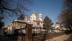 ROC Synod: Crimean eparchies of UOC received directly into Russian Church