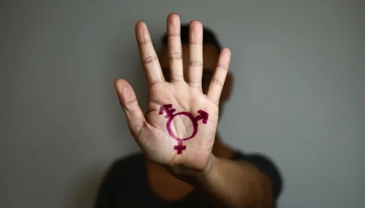 Администрация Байдена намерена расширить права трансгендеров в учебных заведениях США. Фото: nito/Shutterstock