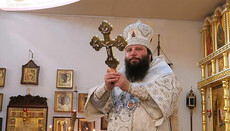 Первоиерархом РПЦЗ избрали епископа Манхэттенского Николая