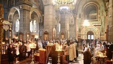 У Житомирській єпархії УПЦ провели молебень перед мощами святих воїнів