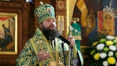 Олександрійська єпархія подає до суду за наклеп на митрополита Боголєпа