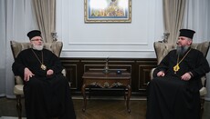 Думенко обсудил проблемы Православия с уволенным епископом Церкви Грузии