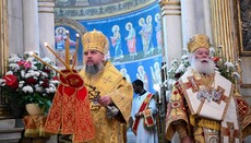 Думенко впервые «сослужил» с патриархом Александрийским в Египте