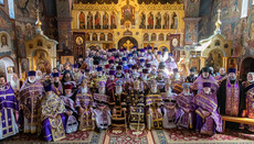 Духовенство Восточно-Американской епархии РПЦЗ выступило в защиту УПЦ