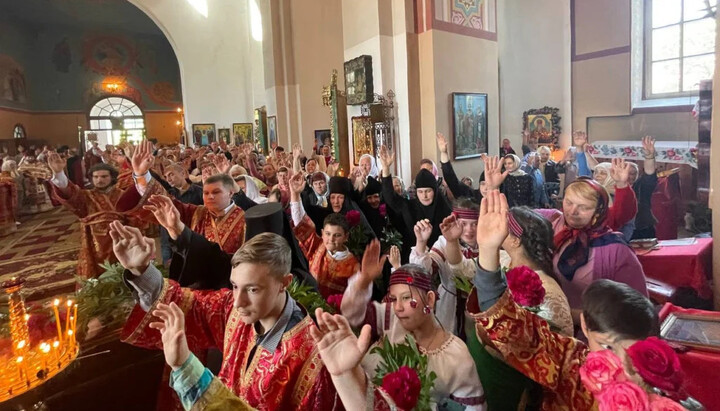 Верующие Овручской епархии заявили о верности УПЦ и ее Предстоятелю