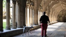 В Кентерберийский собор разрешили вход с собаками, чтобы привлечь туристов