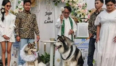 В Індонезії священника розкритикували за благословення «собачого весілля»