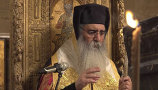 Митрополит Кипра: Решение Синода по урокам секспросвета – не окончательное