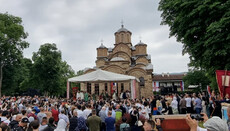 Церковь не служит интересам политических партий, – епархия Сербской Церкви