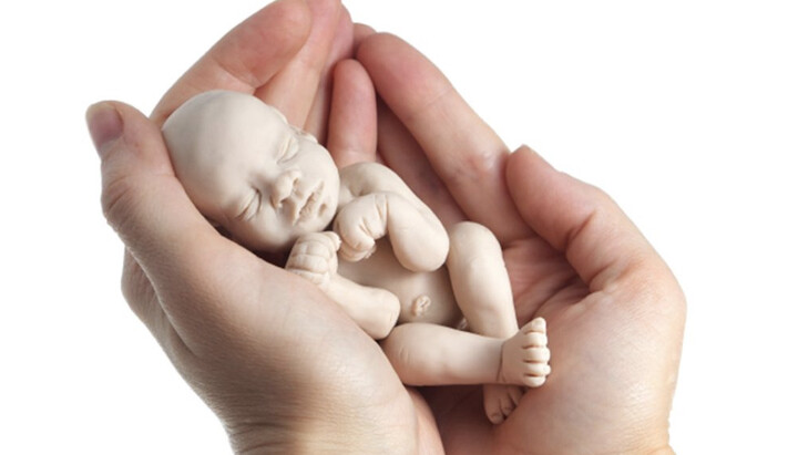 Αγέννητο παιδί. Φωτογραφία: tosnocrb.ru