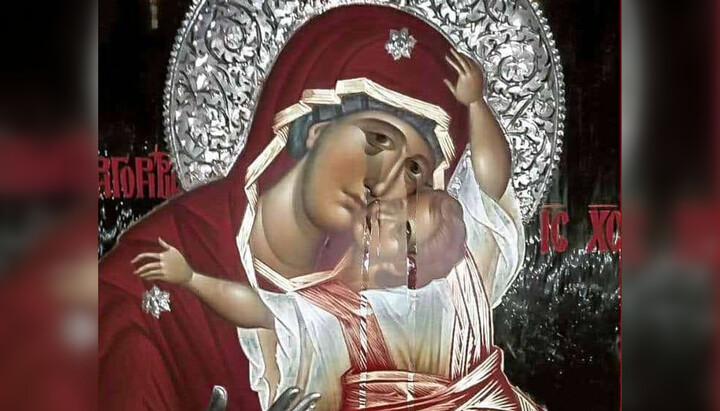 Икона Божией Матери «Отрада и Утешение». Фото: facebook.com/AgiosEfraimcy