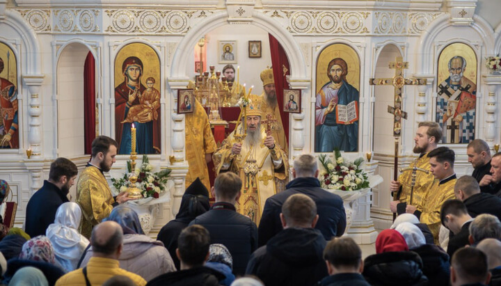 Митрополит Онуфрий. Фото: news.church.ua