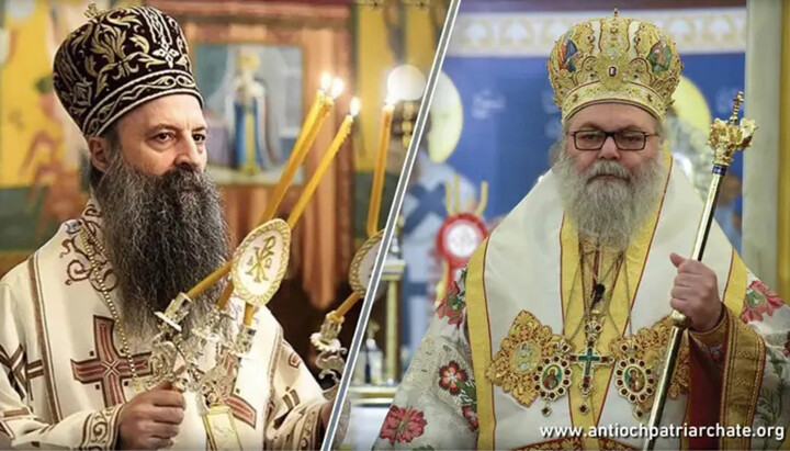 Primates of the Serbian and Antiochian Churches. Photo: the Patriarchate of Antioch
