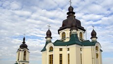У Вишневому понад 500 парафіян підтвердили своє бажання залишатися в УПЦ