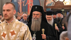Митрополит Миколай зняв свою кандидатуру з виборів Патріарха БПЦ