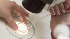 Американські вчені хочуть створити ембріон напівлюдини-напівтварини