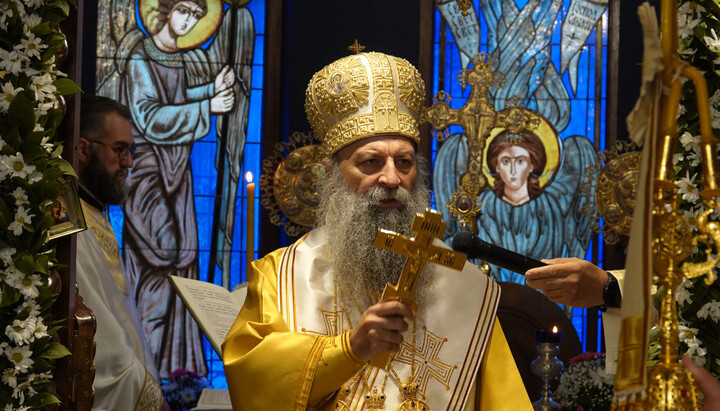 Serbian Patriarch Porfirije. Photo: spc.rs