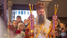Блаженнейшего Онуфрия с Днем Ангела поздравил Предстоятель Сербской Церкви