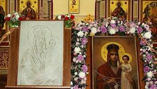 В Запорожской епархии УПЦ пройдет Крестный ход с иконой “Призри на смирение” и святынями храмов