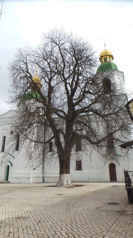 В этом храме каждый человек будет услышан фото 4