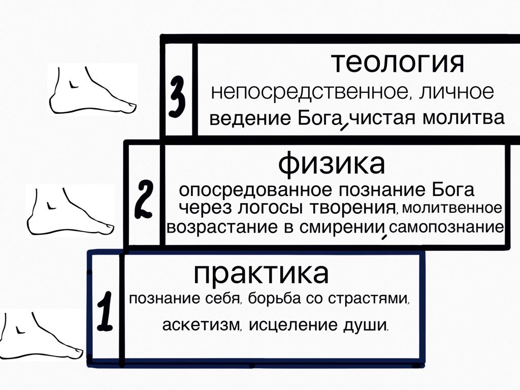 Анатомия души. Окончание. Итоги фото 5