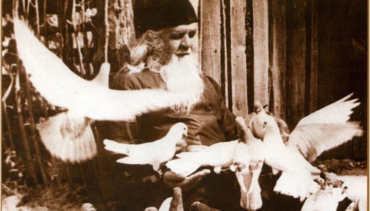 Освобожденный от военного призыва великомучеником Георгием Победоносцем фото 3