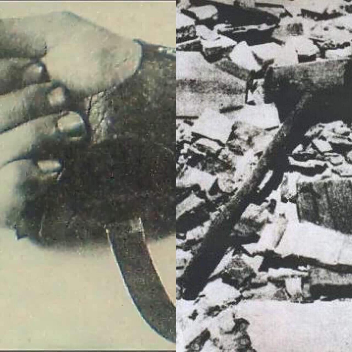 Jasenovac: Biserica catolică și genocidul sârbilor ortodocși фото 2
