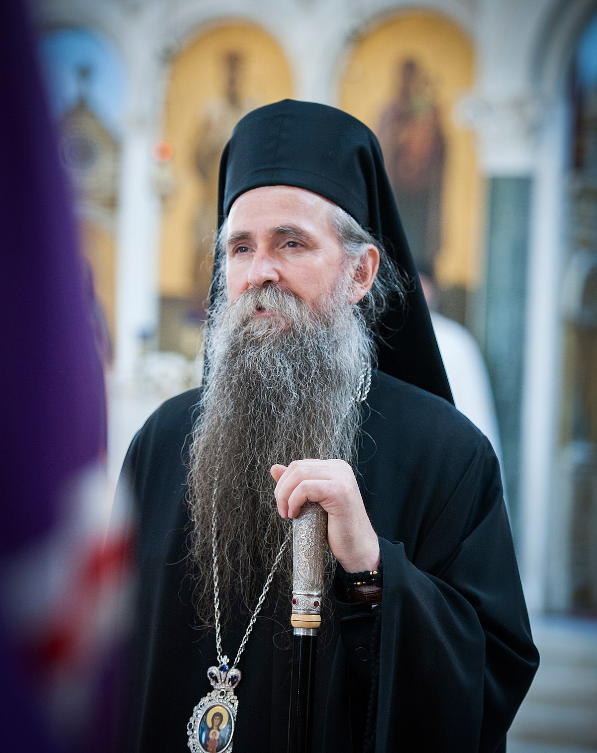 Выборы Сербского Патриарха: перипетии, кандидаты и ожидания фото 5