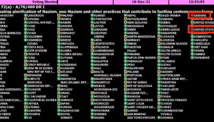 În ONU, Ucraina și SUA au votat împotriva luptei cu glorificarea nazismului фото 1